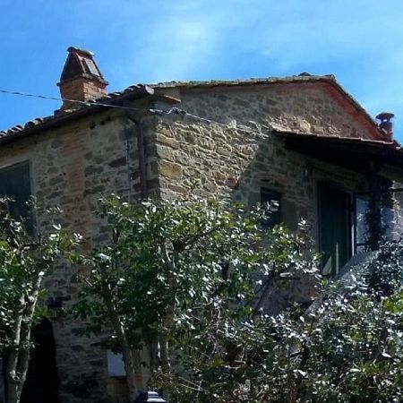 La Cuccia - La Villa-San Pacrazio Ambra Exterior foto