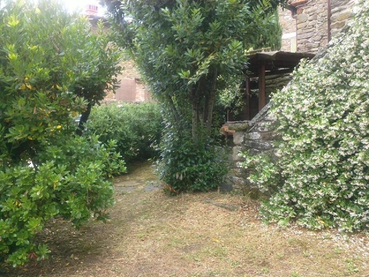 La Cuccia - La Villa-San Pacrazio Ambra Exterior foto